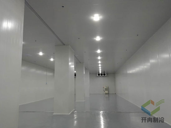 建設(shè)疫苗冷凍庫(kù)安裝有哪些驗(yàn)收標(biāo)準(zhǔn)？