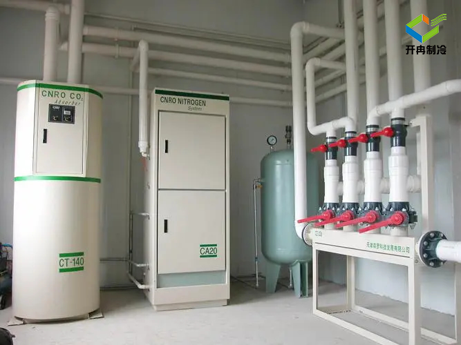 建造一個100噸的水果保鮮冷庫多少錢？