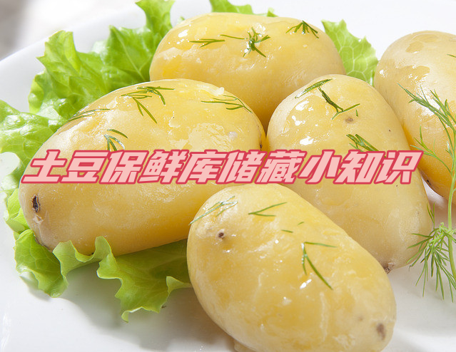 土豆保鮮庫(kù)儲(chǔ)存方法解析，延長(zhǎng)土豆保鮮期的秘訣