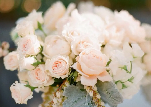 揭秘鮮花冷庫(kù)的保鮮奧秘，花束如何嬌艷不凋零？