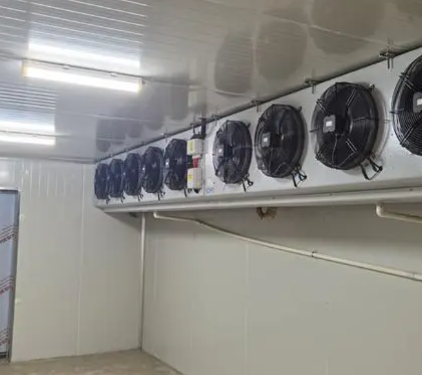 速凍冷庫的優(yōu)點有哪些？_上海開冉制冷