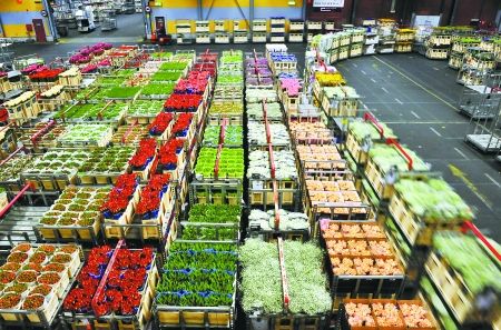 1571038869559536.jpg timg.jpg