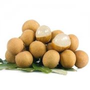 安裝一個桂圓（龍眼）保鮮冷庫，投資成本大概多少