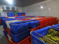 蔬菜批發(fā)市場(chǎng)建冷庫(kù),建多大合適