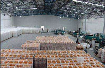 2500立方水果冷庫