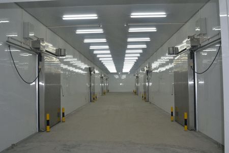 上海1500平米綜合型冷庫(kù)