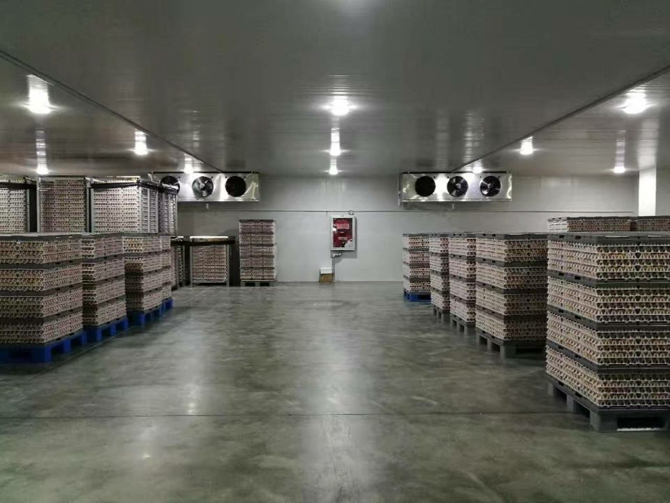 1000立方食品冷藏庫(kù) 1000立方食品冷藏庫(kù)