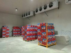 建造一個4000平方蘋果冷庫大概需要多少錢？