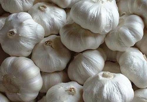 500噸大蒜保鮮冷庫(kù) 500噸大蒜保鮮冷庫(kù)