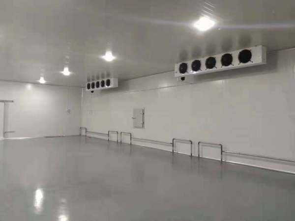 上海冷庫價(jià)格