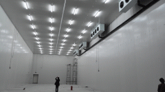 大型冷凍冷庫造價(jià)需要多少錢？