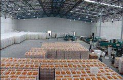 新建一個存放丑橘保鮮冷庫,大概需要多少造價?