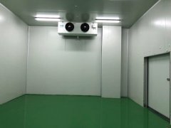 大型生鮮配送冷庫選址及(水產(chǎn)冷凍庫)設(shè)計方案報價