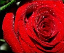 果蔬、鮮花氣調冷庫設計保鮮效果更好