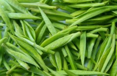 茶葉冷藏庫-安裝茶葉冷藏庫的優(yōu)勢(shì)特點(diǎn)