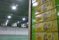 哪些是1000噸小型冷庫建造價格因素？