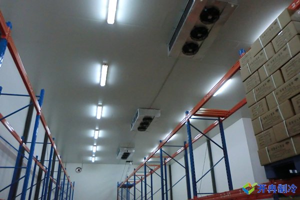 上海開(kāi)冉2000平冷凍庫(kù)安裝施工案例完工庫(kù)內(nèi)圖片