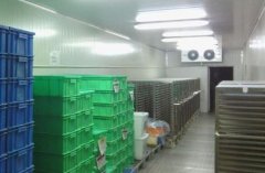 200立方米冷凍庫設(shè)備報(bào)價