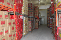 建造一個獼猴桃冷庫需要投資多少錢?