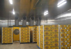 安裝一個芒果保鮮庫設計方案，芒果冷庫工程造價