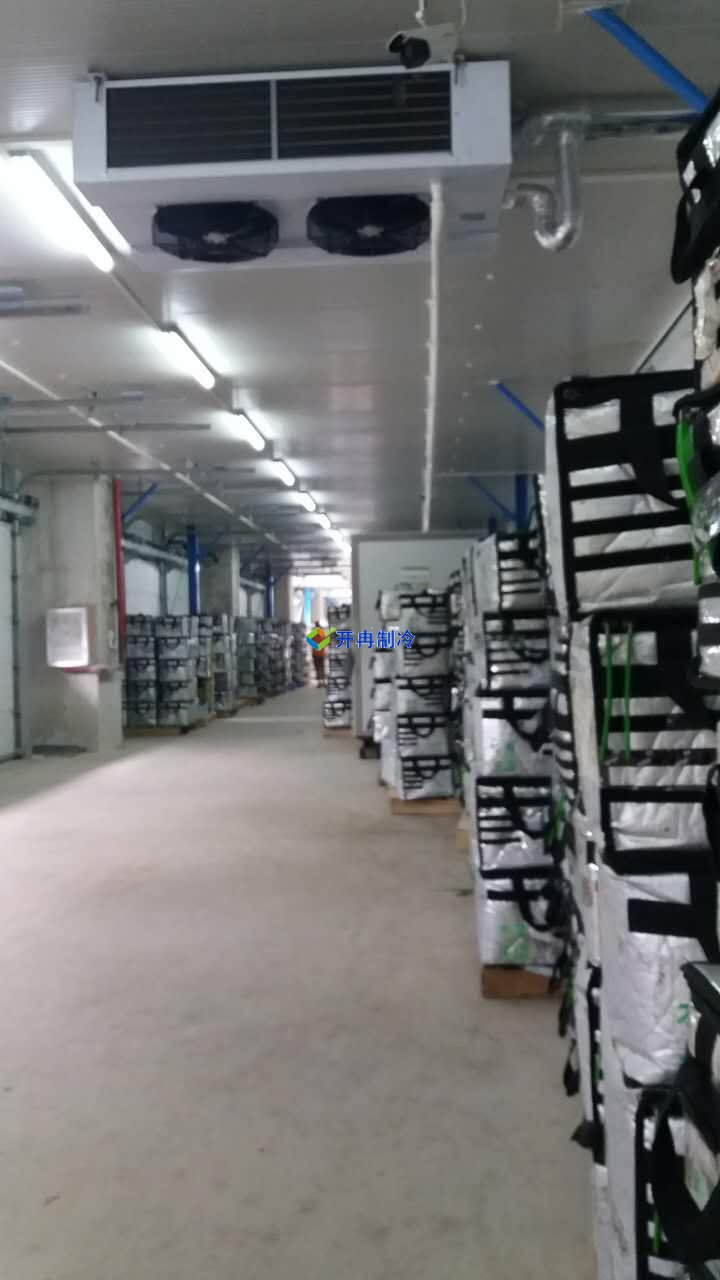 豬肉加工車間冷凍庫建設，排酸冷庫設計規劃方案