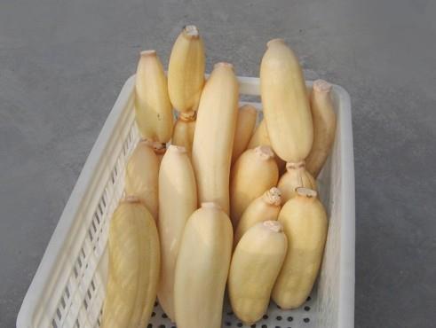 1500立方蓮藕冷庫建造,蓮藕保鮮庫造價怎么算