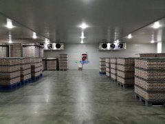 裝一座500噸葡萄保鮮庫造價怎么算，存儲多久？