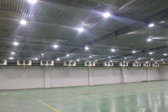 -18℃海魚冷凍庫需要多少錢,2000平低溫海帶冷庫造價