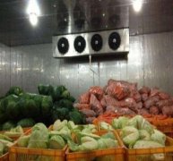 50噸蔬菜保鮮庫決定造價的因素有哪些？