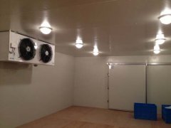  上海安裝冷庫公司，保鮮冷庫設計，小型冷庫造價