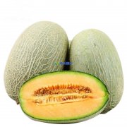 哈密瓜在保鮮庫可以儲存多久,儲存溫度是多少?