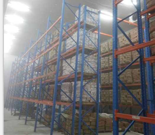 廠房面積1500平 生鮮冷庫鋼結構冷庫建造總投資多少？