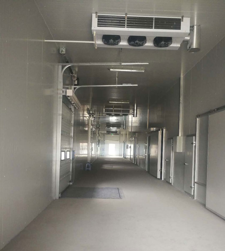 -25℃低溫海鮮魚肉加工廠冷凍庫安裝設計標準費用多少?