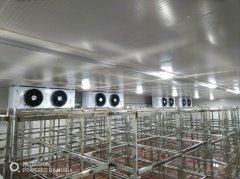 冷凍庫造價一平米價格怎么算？凍庫一立方的造價是多少錢